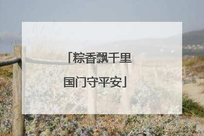 粽香飘千里 国门守平安